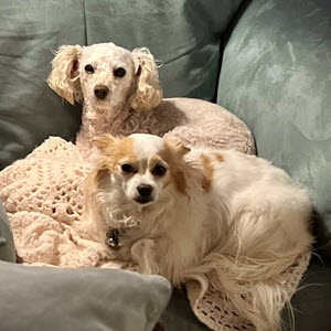 Tanya - Surgical Team Lead/CVT Tanya - Surgical Team Lead/CVT