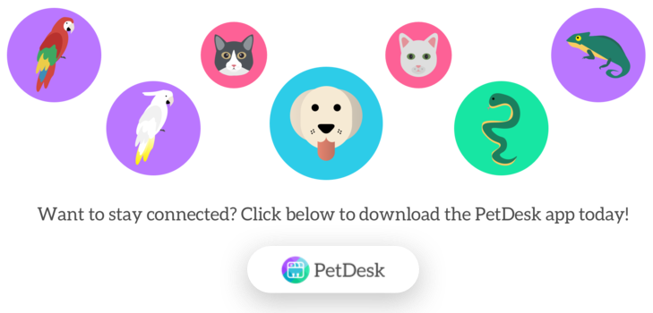 Pet Desk Banner